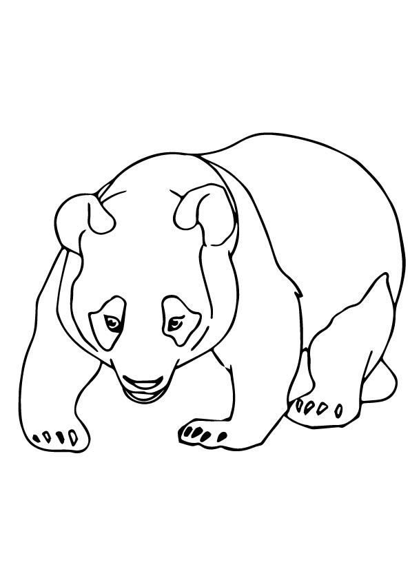 Plansa de colorat cu Panda 22 15